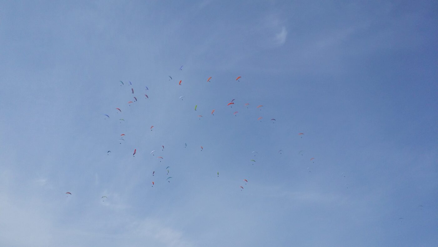Canopies across the Danyang sky